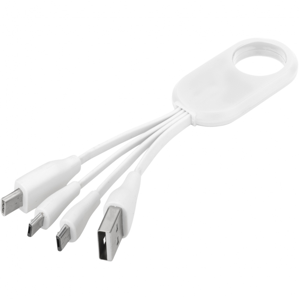 Logo trade promotional merchandise image of: Troup 4-in-1 charging cable with type-C tip