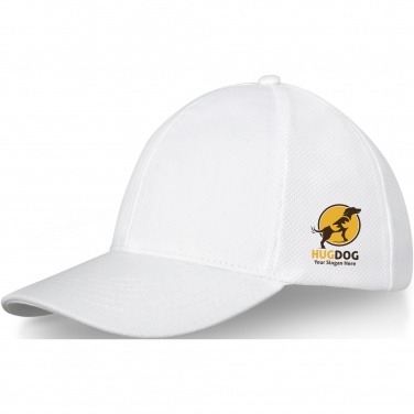 Logo trade promotional merchandise photo of: Drake 6 panel trucker cap