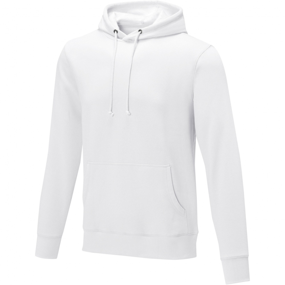 Logotrade promotional product image of: Charon men’s hoodie