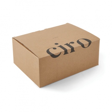 Logotrade promotional merchandise photo of: VINGA Ciro RCS recycled steel lunch box