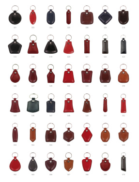 Logotrade business gifts photo of: Keyring 178011