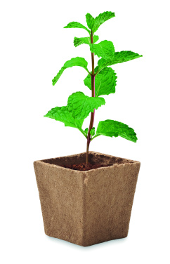Logo trade corporate gifts picture of: Mint seeds growing kit