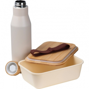 Logotrade promotional giveaway picture of: Set Lunchbox with stainless steel bottle Toronto