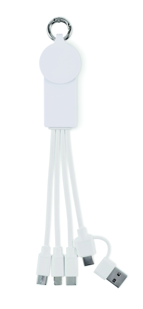 Logo trade corporate gifts image of: 2 in 1 charging cable type-C
