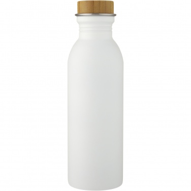 Logotrade ärikingituse foto: Kalix 650 ml roostevabast terasest veepudel