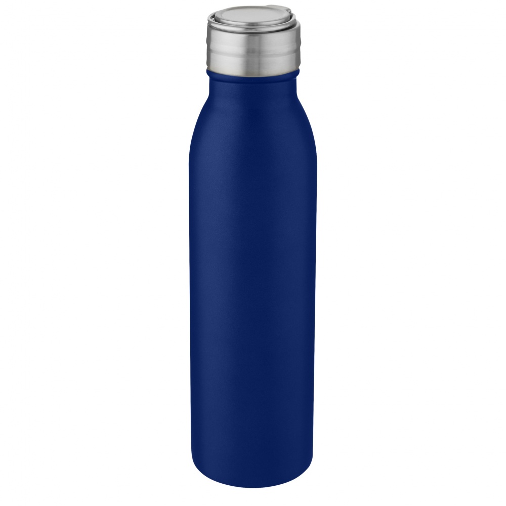 Logotrade firmakingituse foto: Harper 700 ml roostevabast terasest veepudel metallist aasaga