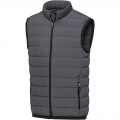 Caltha meeste udusulgedega vest, Tormihall