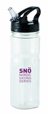 Logo trade reklaamkingituse pilt: 500 ml PCTG pudel