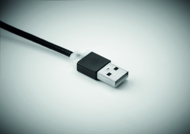 Logotrade ärikingituse foto: USB-tüüpi C-kaabliga võtmehoidja Salaspils