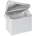 Külmakott 6 x 0,5 l MESA, valge