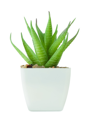 Логотрейд pекламные cувениры картинка: Mini artificial plant
